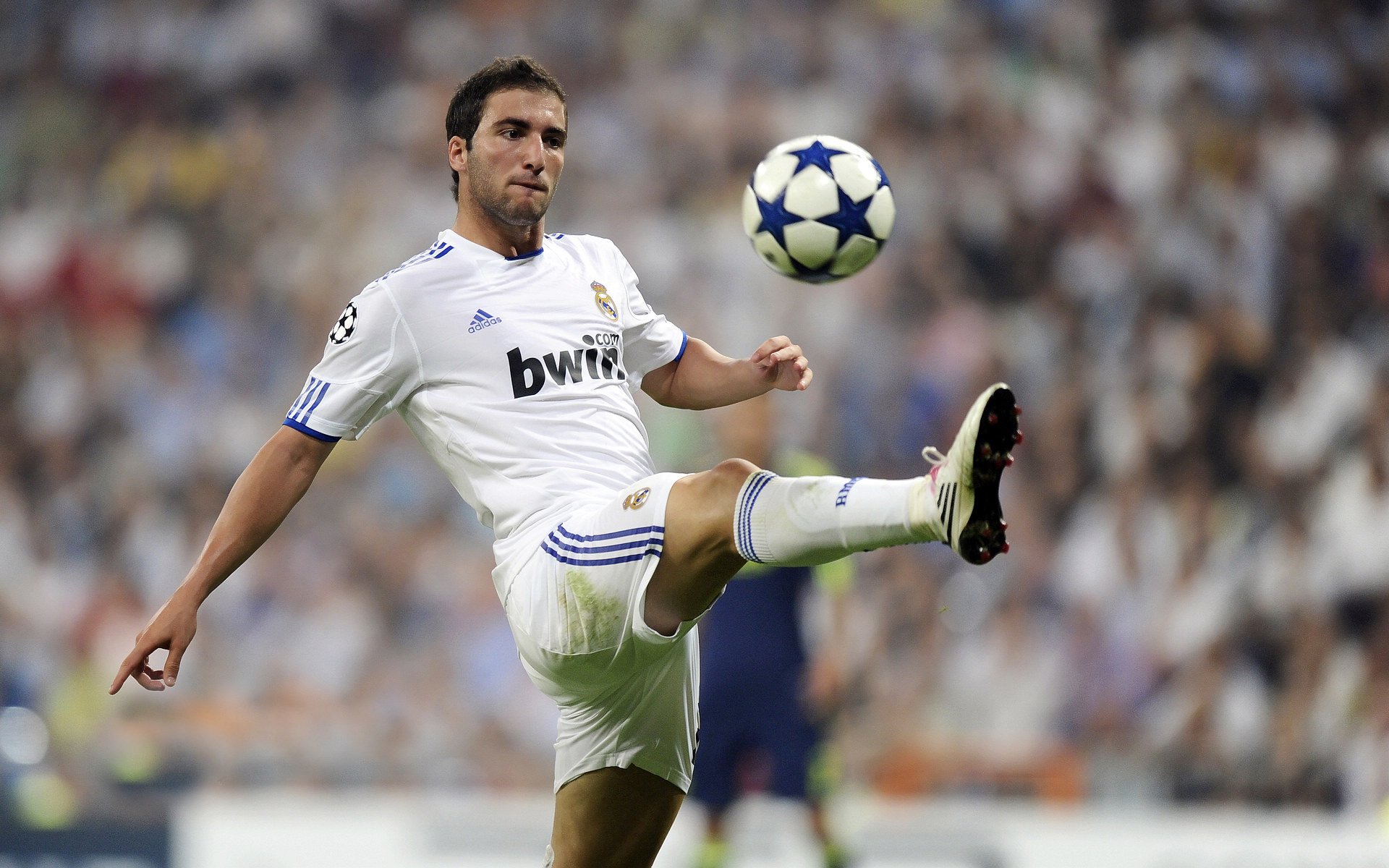 日本队在亚运会中表现抢眼，志在夺金